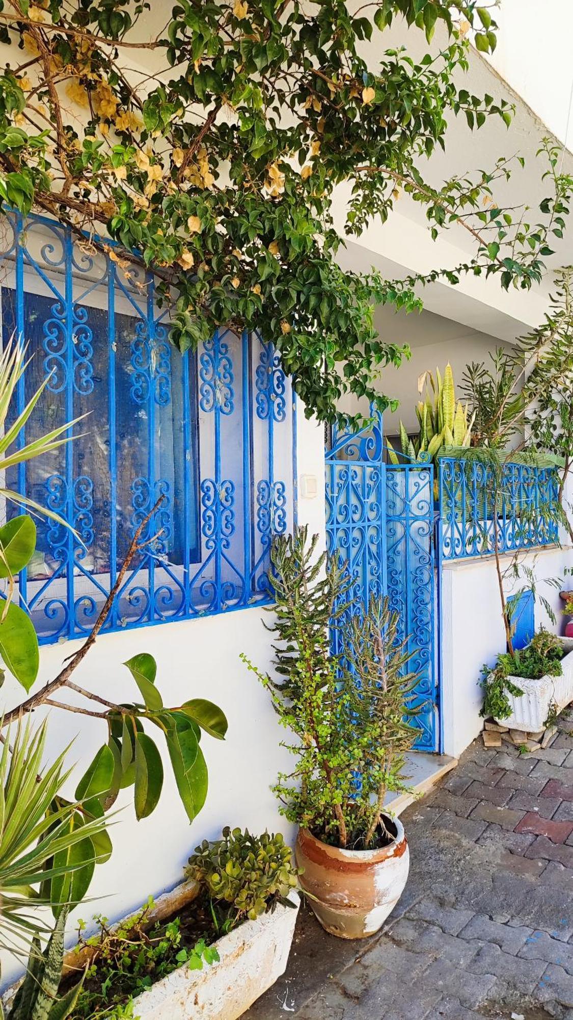 Cosy Appartement In "Sidi Bou Said" Luaran gambar