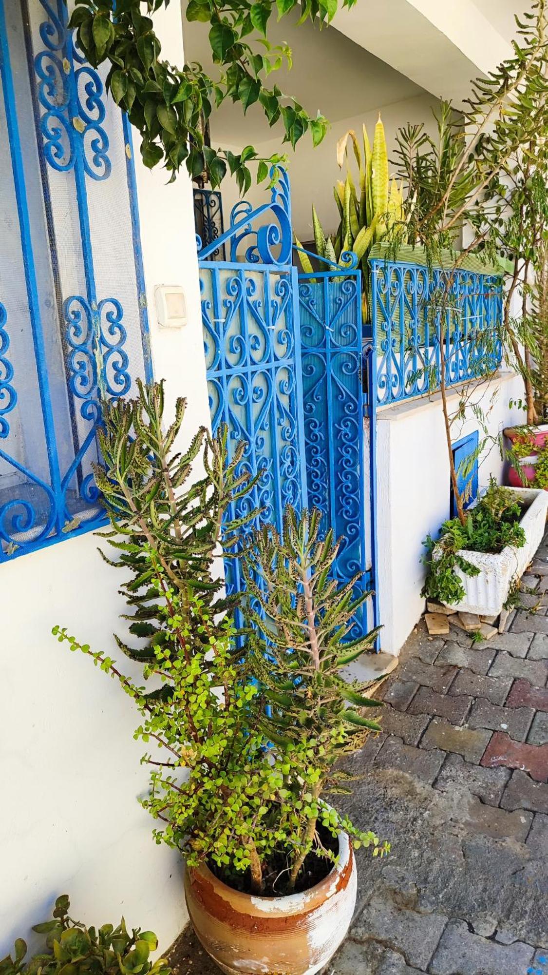 Cosy Appartement In "Sidi Bou Said" Luaran gambar